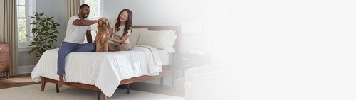 Man, woman, and dog sitting on a bed