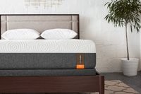 premium firm furniture 12354689+5263.jpg